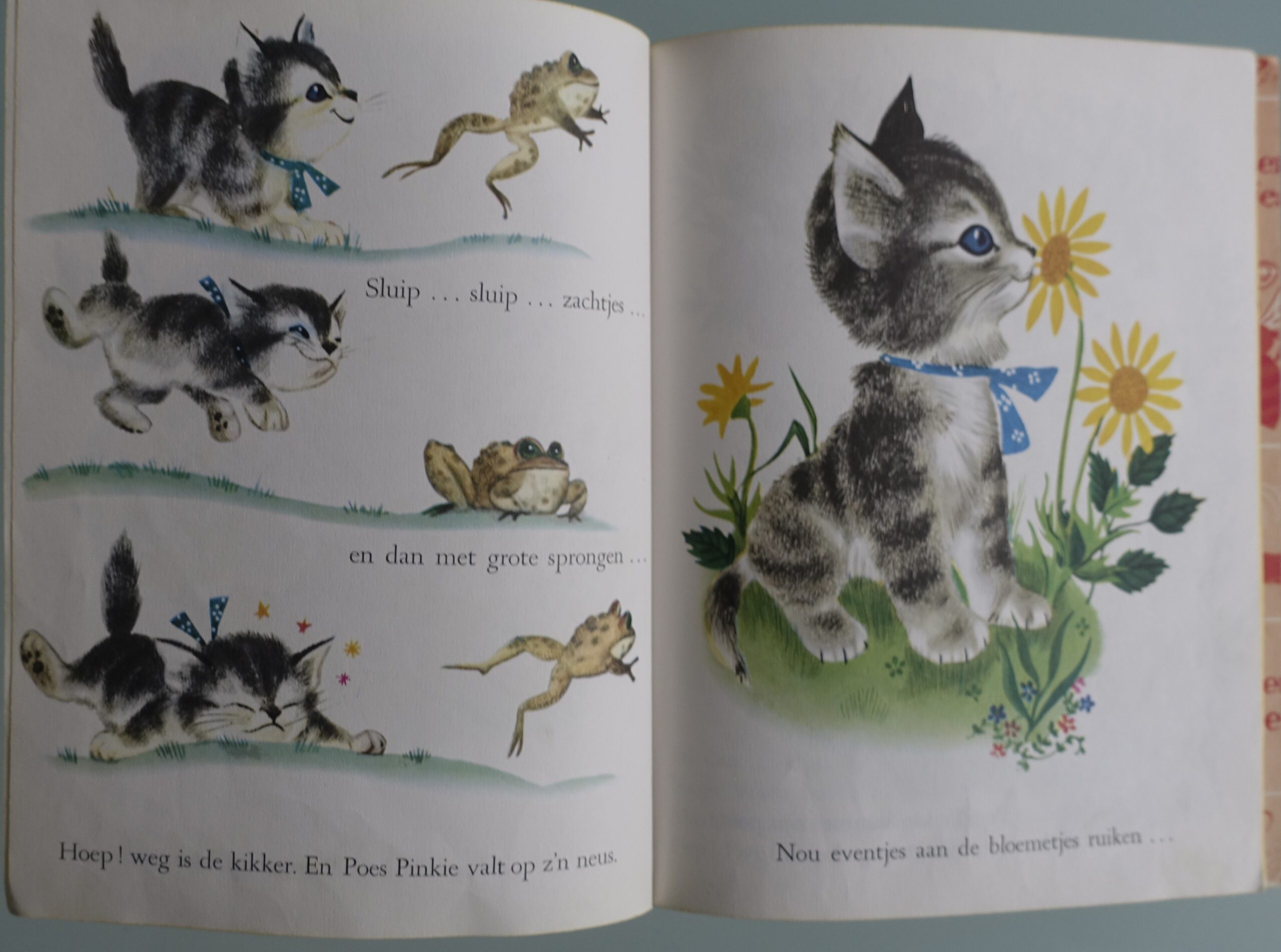 poes pinkie - Gouden Boekje nr. 5 - Afbeelding 4