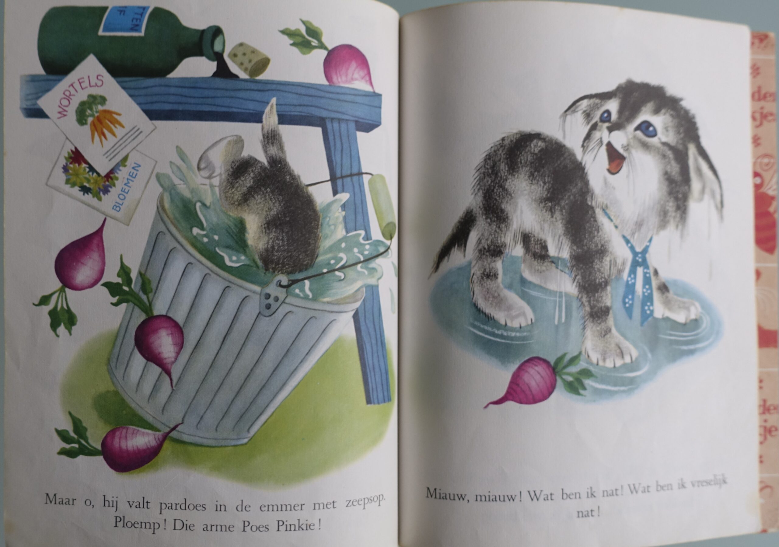 poes pinkie - Gouden Boekje nr. 5 - Afbeelding 5